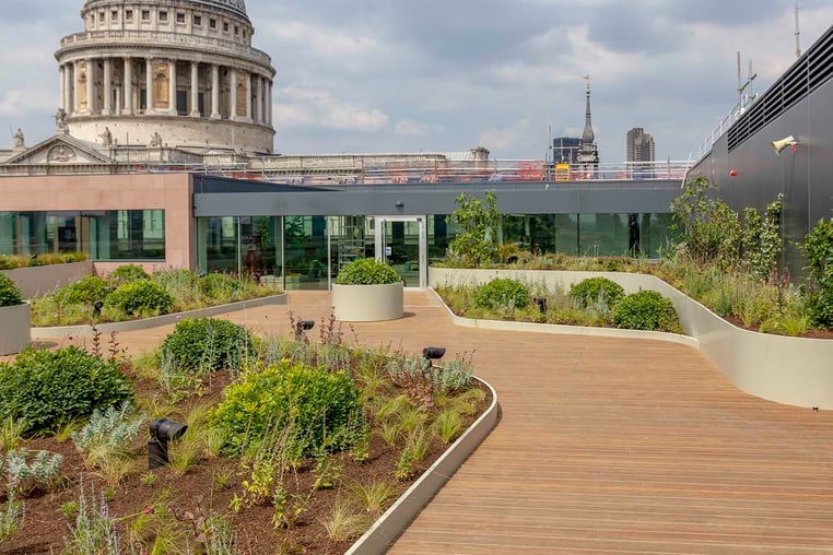 Decking on a green roof supported by Buzon - Cannon Street